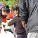 경산초교 이미지