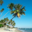 더 엘 관광호텔(THE L HOTEL) 이미지