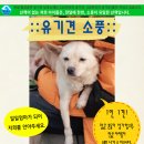 평강공주 이미지