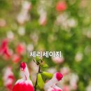 수림사