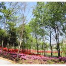 신흥동006 이미지