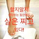 허브앤점핑Do