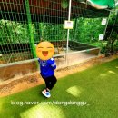 공룡매점 - 남양주시 팔현로175번길 214-22 | [이천 아이와 가볼만한곳] 덕평공룡수목원 방문 후기 (가격, 위치, 꿀팁 총정리)