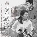 상록수 - 부산진구 | 상록수