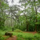 상학초교 이미지