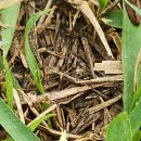 안서농장 이미지