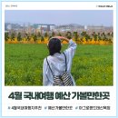 예산목장 | 4월 5월 국내여행지 추천 예산 아그로랜드 태신목장 후기