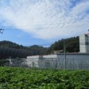 소로3-낭월01 이미지