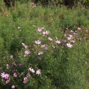 가야농장 이미지