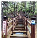 낙동강변10 이미지