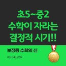 진도중학교 | [보정동 수학의 신] 초5~중2, 지금이 수학 실력이 자라는 결정적 시기