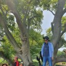 덕촌마을회관 | 사회적기업 하나리더투어-양평군 용문면 덕촌2리 노인회와 함께 떠나는 안면도 쉼 여행