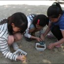 옹정초등학교 이미지