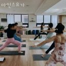 강남구 삼성동 요가 마인스요가 운영시간 접근성 가격
