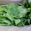 자연대로4 이미지