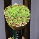 세이안 이미지