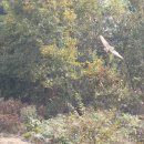 산성시장6 이미지