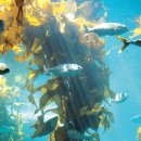 양문선교어린이집 이미지