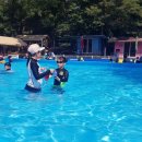 세라그레이스