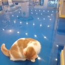 군산아너스빌공인중개사사무소 이미지