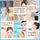 레몬트리 이미지