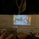 월성오토캠핑장 이미지