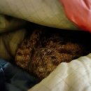 철이와 미애네 이미지