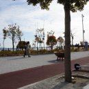 웅천 오충사 이미지