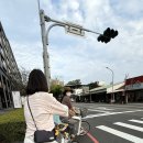 신농약국 이미지