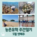 보성태권도 | 보성 농촌유학 주간일기 5월 셋째주 / 수제청 만들기 / 고흥 나들이 / 축구 연습