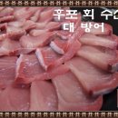 대구남구맛집/겨울철 별미 방어회를 맛보다/후포회수산 이미지