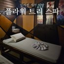 세부 막탄 마사지 플라워 트리 스파 후기(한국인 사장님)