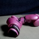 강기준복싱다이어트 이미지