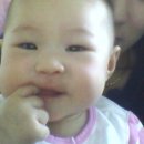 미니어처 우리집 이미지