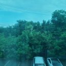 코아스코리아 | 베란다 자외선차단필름 코아스 코리아 셀프시공 후기