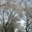 방일해장국 | [익산 춘포 맛집] 유명산 전설의 국밥! 방일해장국 익산1호점 내돈내산 후기 (춘포역)