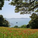 섬마을바다 | 섬마을 언덕배기 꽃밭 너머 바다뷰