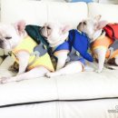 득근농장 이미지