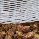 흙사랑3농장 이미지