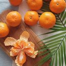 순덕농장 이미지