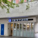 서울휘안과의원 | 문정동 서울휘안과의원👀