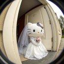 WR(서울특별시 강서구)-[마곡중앙5로]-상-3 | W2-3. 마곡 보타닉파크 웨딩홀 투어 후기 (밥타닉파크, 오키드홀, 카라홀, 뷔페, 위치)