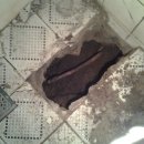 주문진PC 이미지