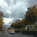 대성세탁양복 이미지