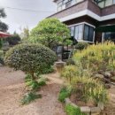 봉곡동161 이미지