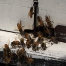 하동슈퍼 이미지