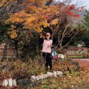 하늘연못팬션 이미지