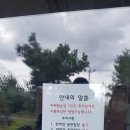 머체왓숲길영농조합법인 | [제주 한달살이, 세번째] 부부와 가족이 걷기 좋은 '제주 머체왓 숲길'