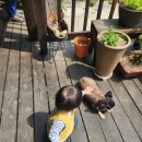 대나무펜션 | 아기랑 가기 좋은 복층 구례펜션 야생화펜션 제비꽃 객실 후기