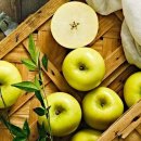 한우리영농조합법인 이미지